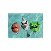 Термометр-іграшка Kokido K725DIS/6P Жаба